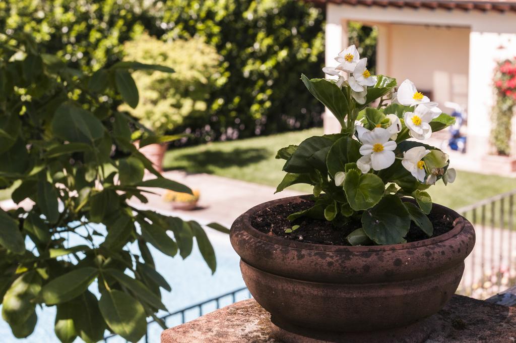 Relais Victoria B&B San Macario In Piano Экстерьер фото